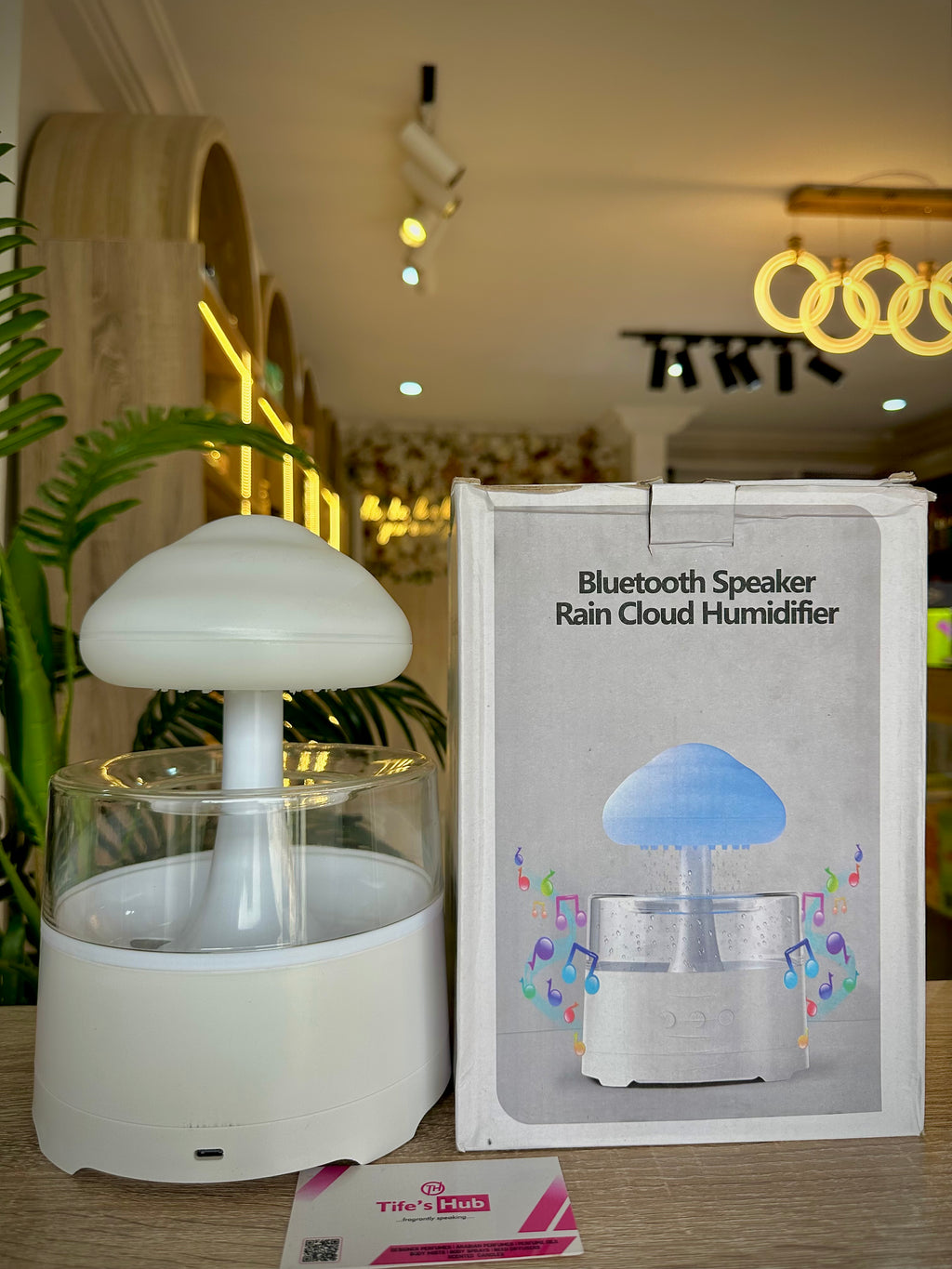 RAIN CLOUD HUMIDIFIER