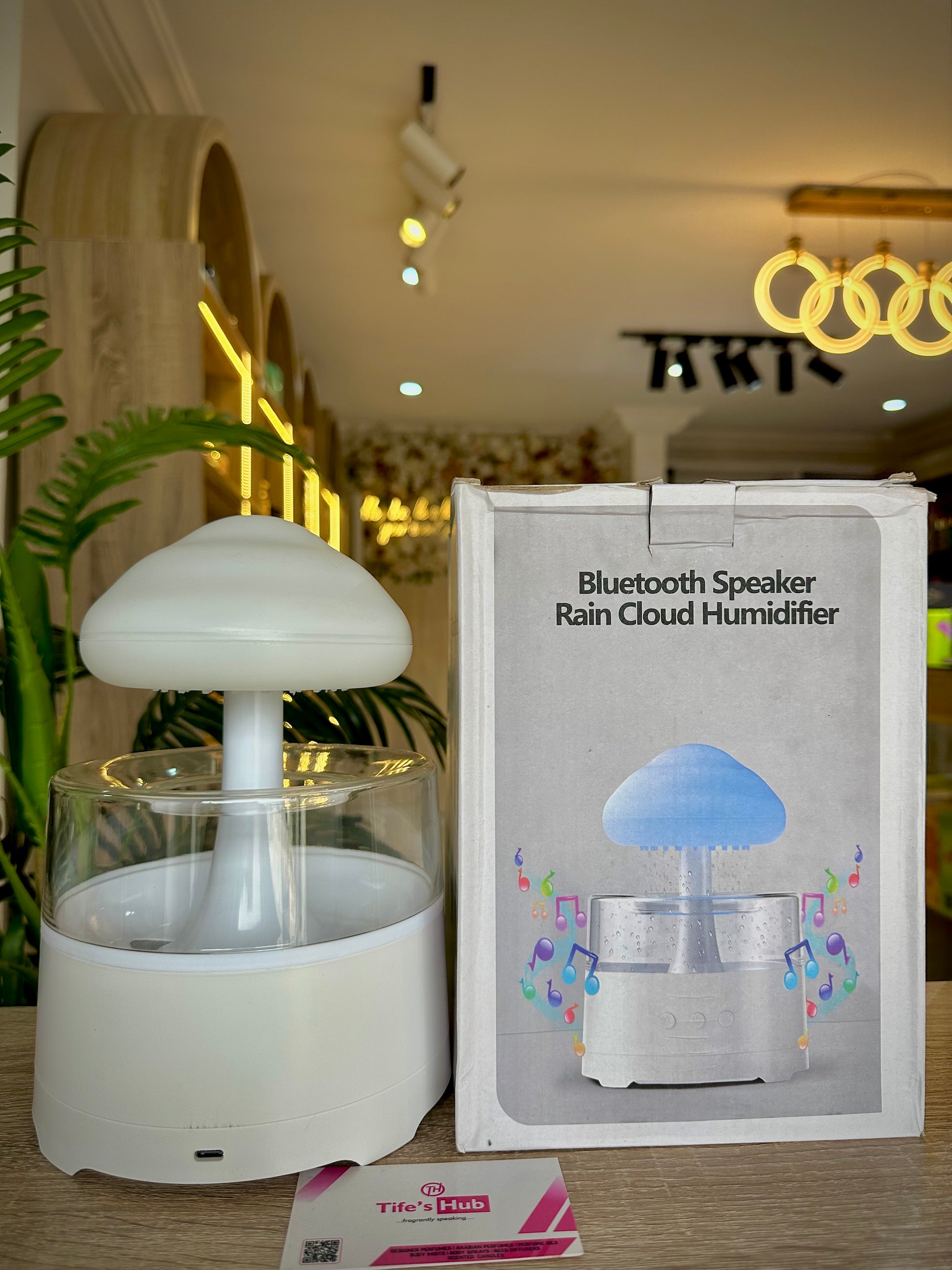 RAIN CLOUD HUMIDIFIER