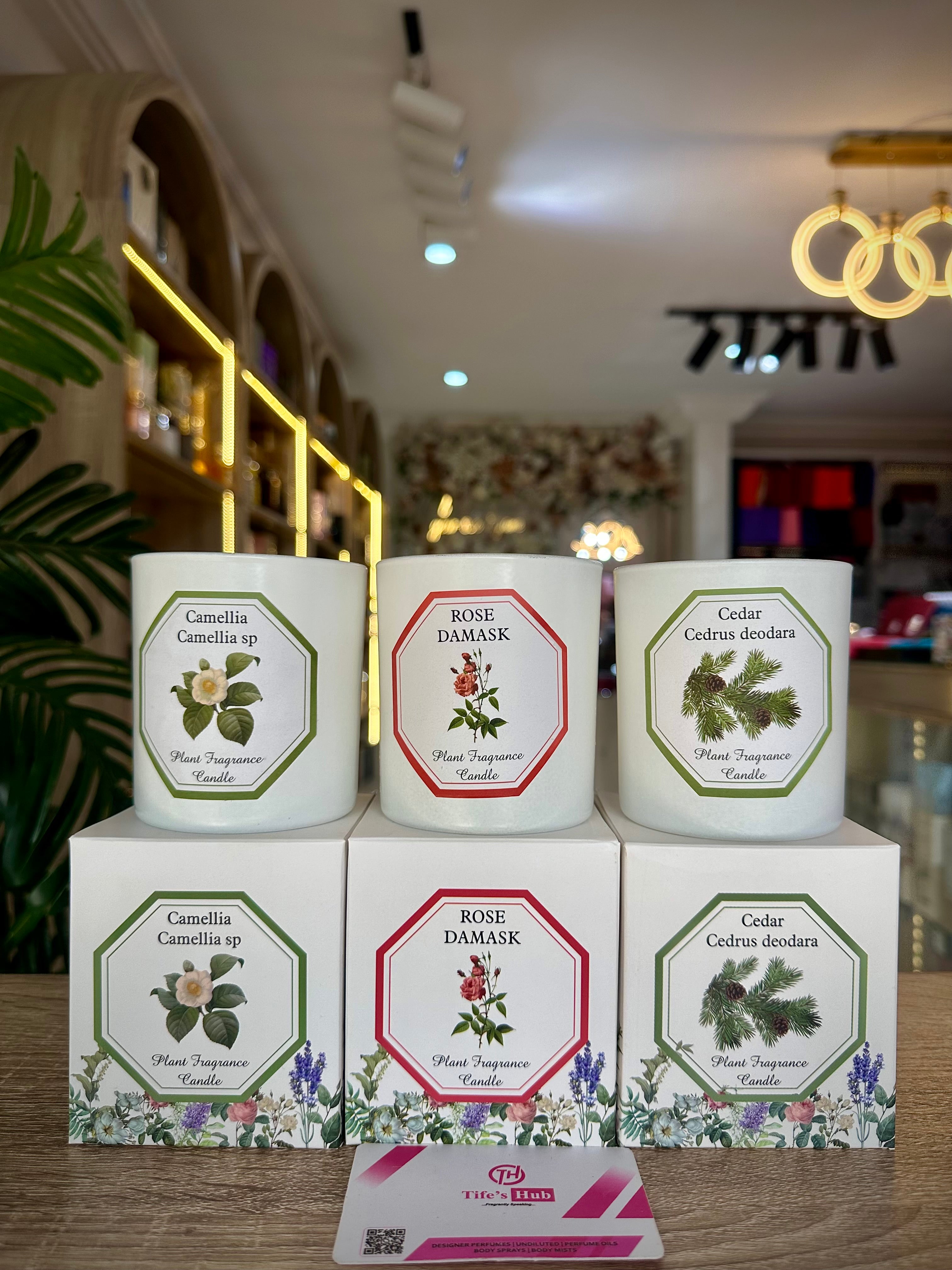 PLANT FRAGRANCE CANDLE 200g