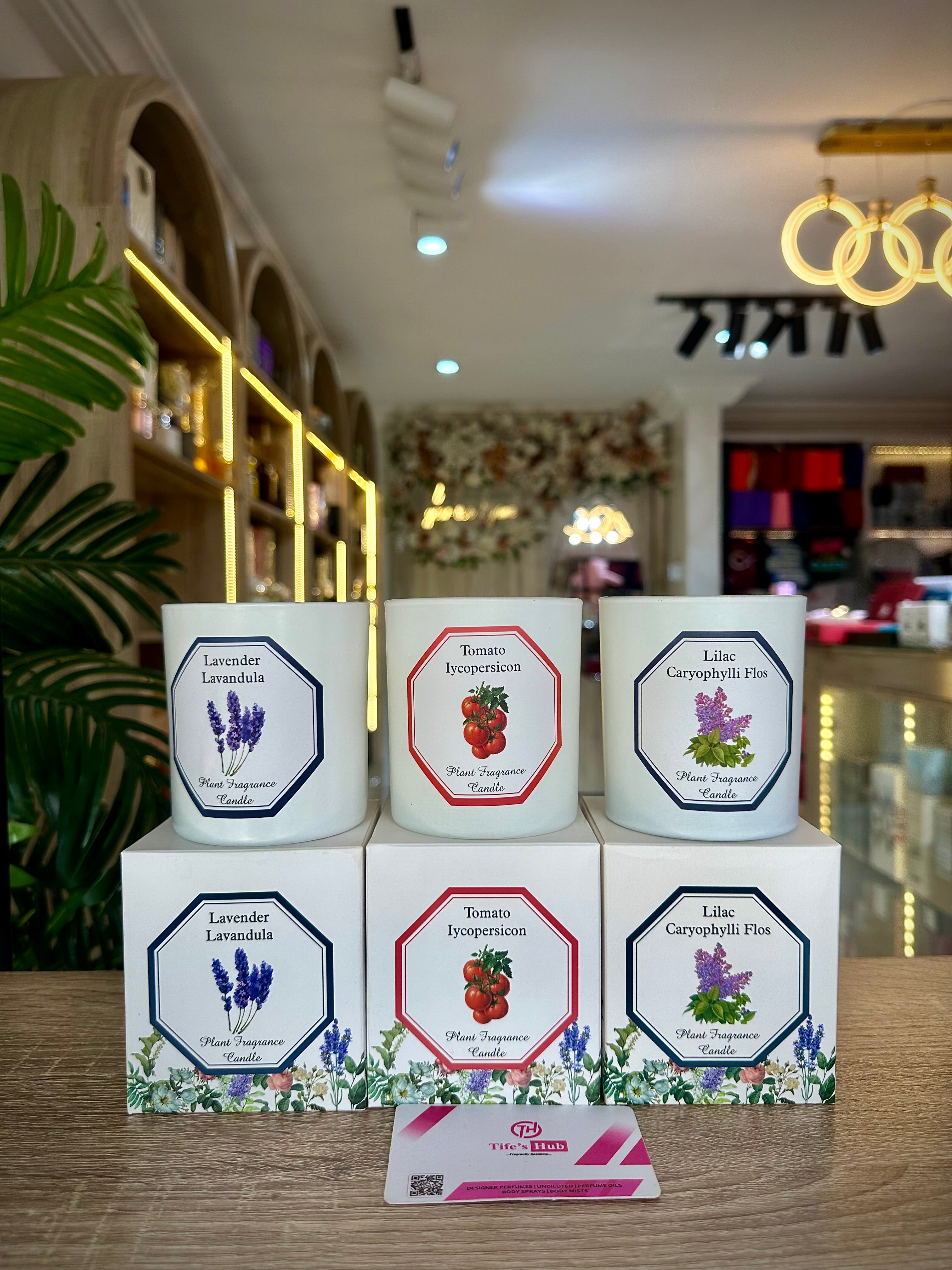 PLANT FRAGRANCE CANDLE 200g