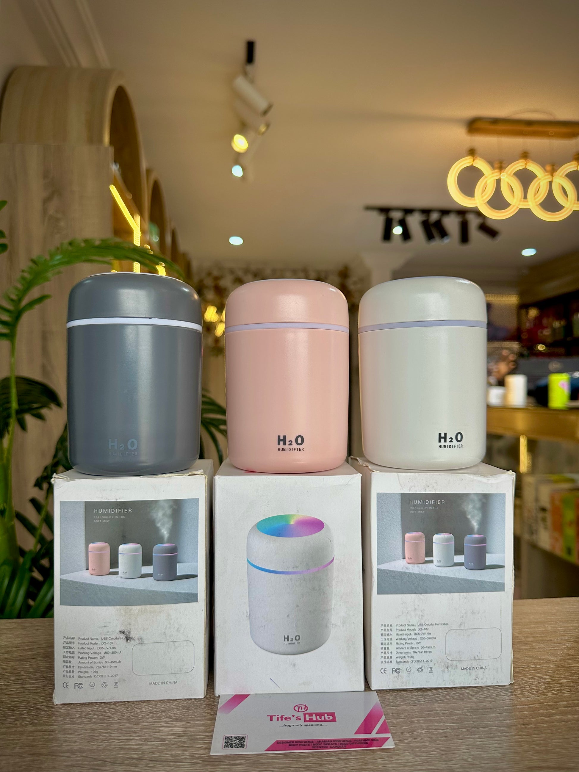 H2O HUMIDIFIER