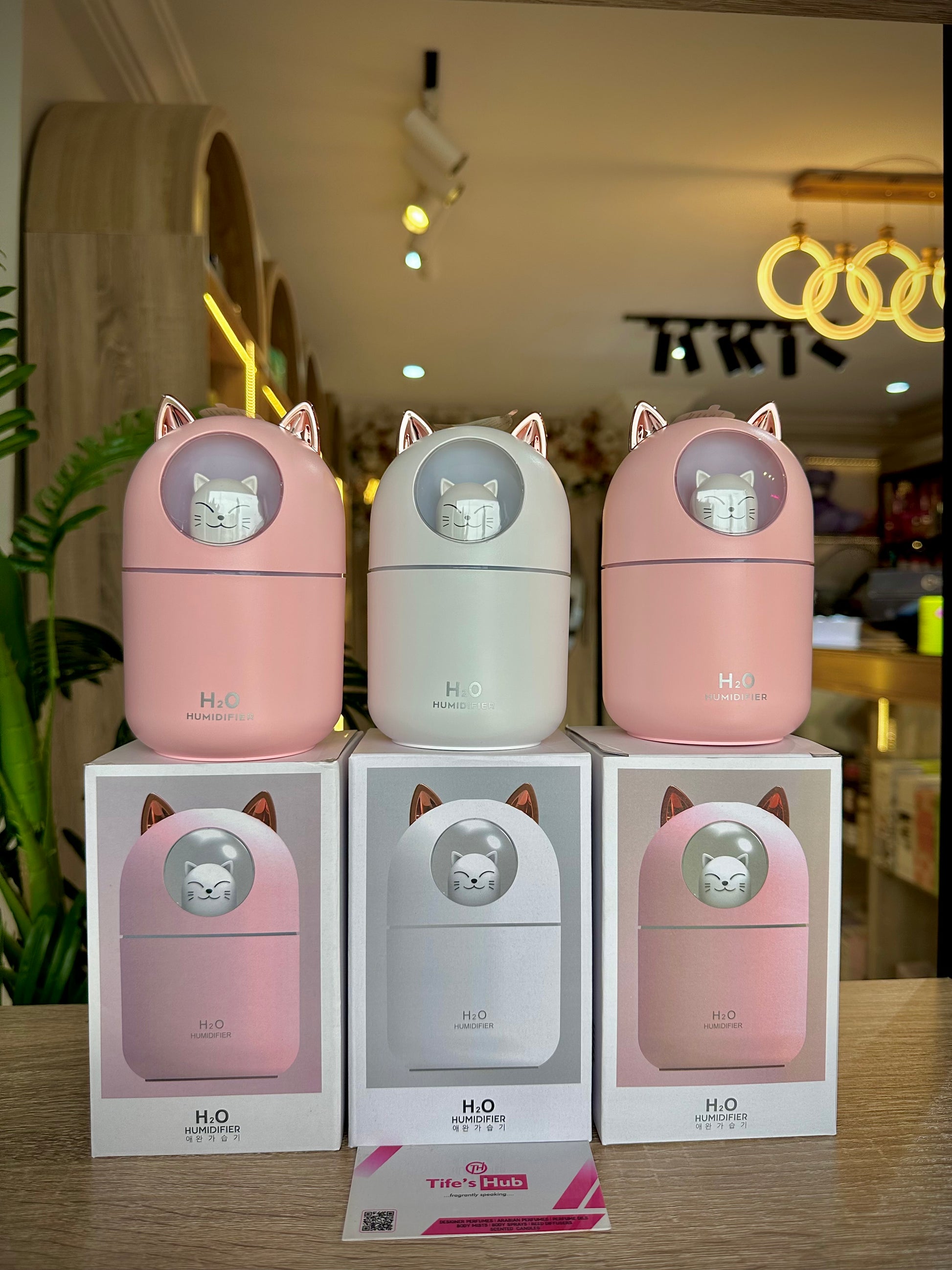 H2O HUMIDIFIER