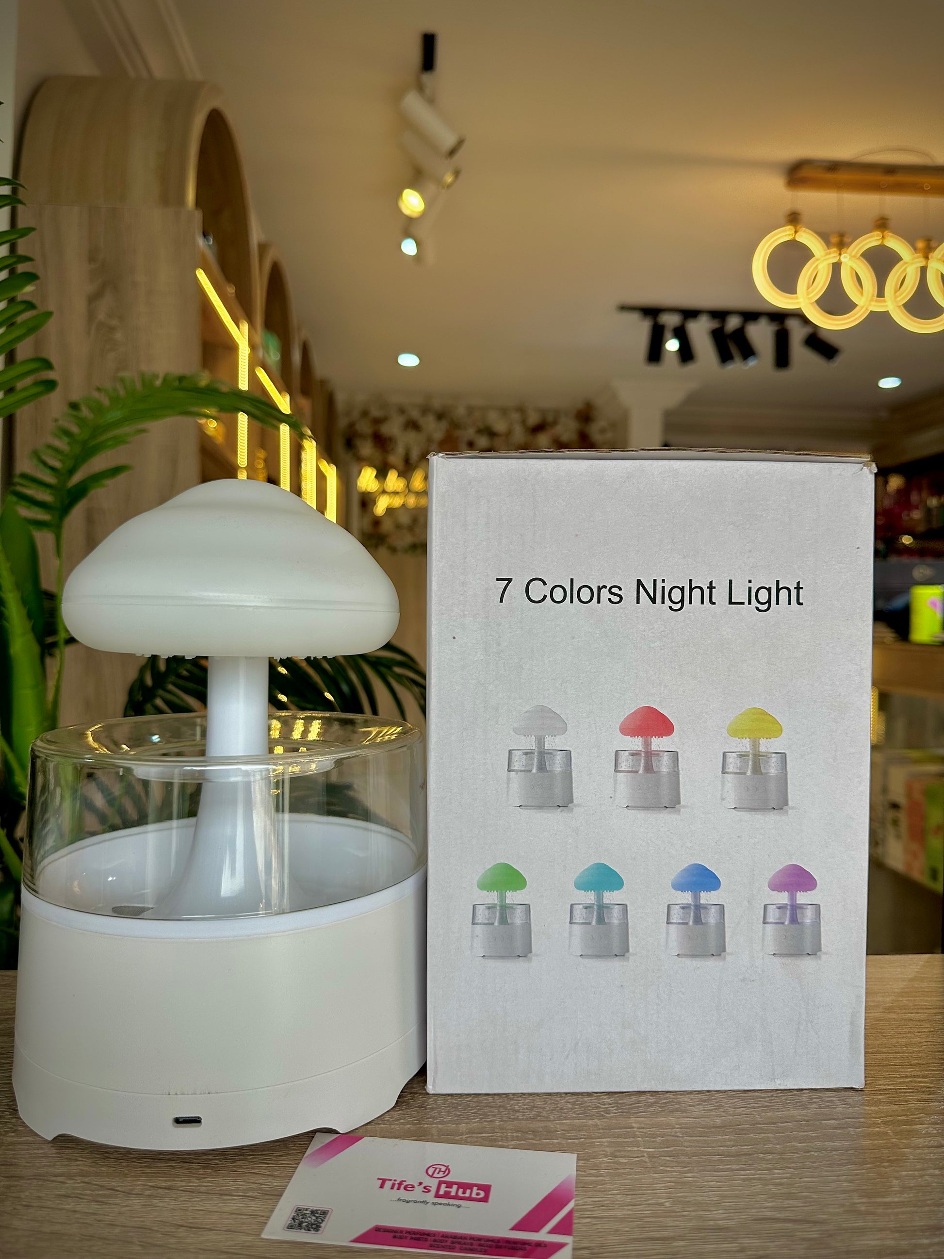 RAIN CLOUD HUMIDIFIER