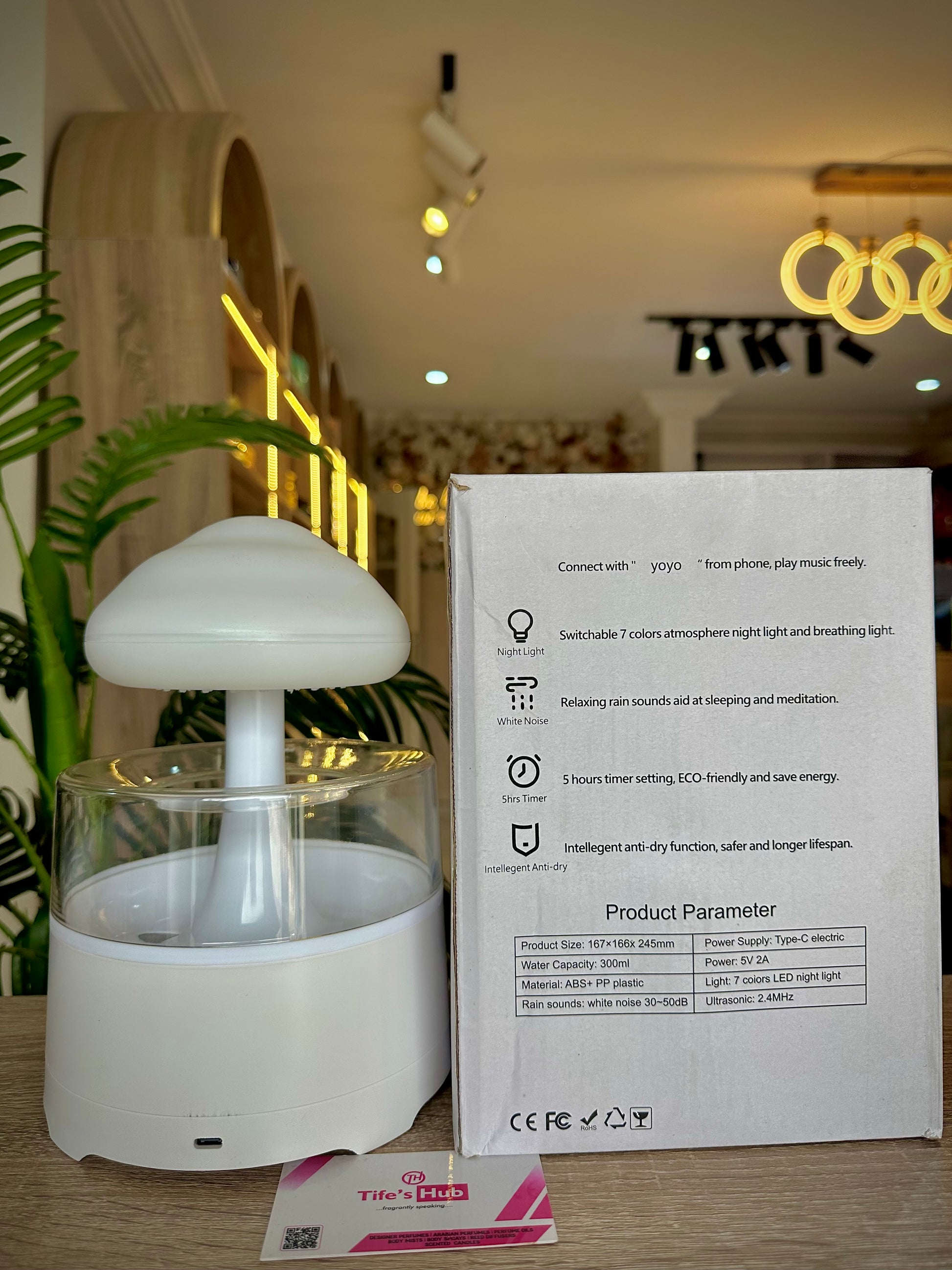 RAIN CLOUD HUMIDIFIER