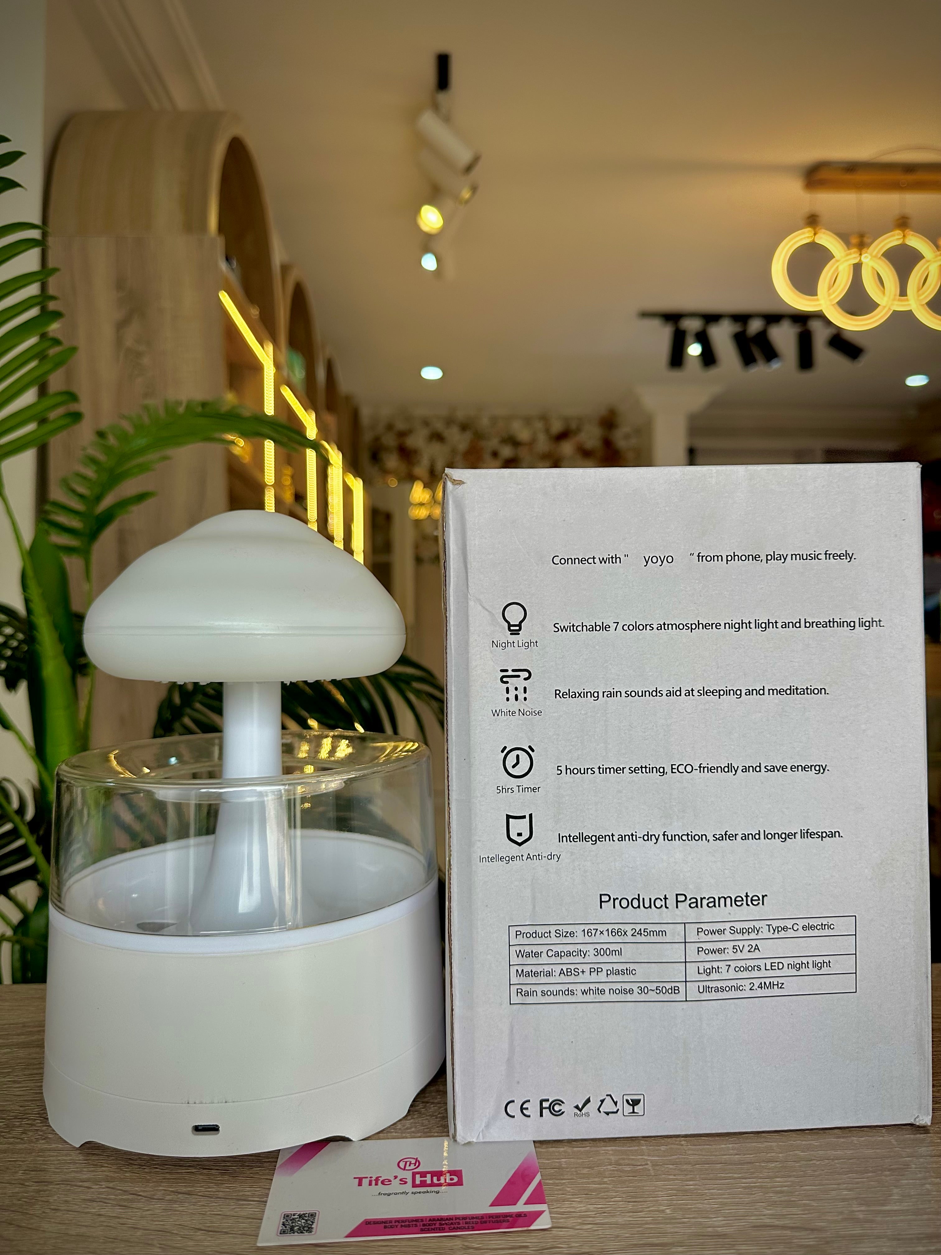 RAIN CLOUD HUMIDIFIER
