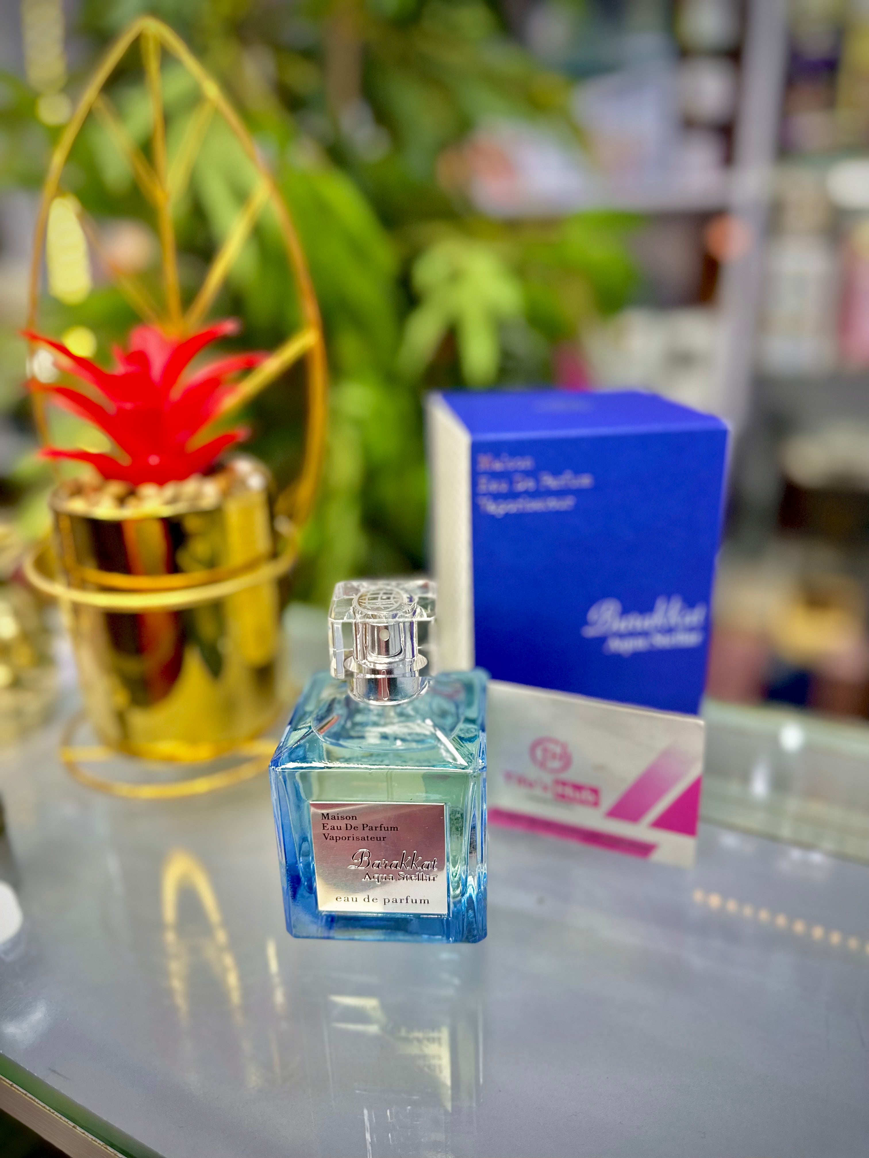 BARAKKAT AQUA STELLAR EDP 100ml