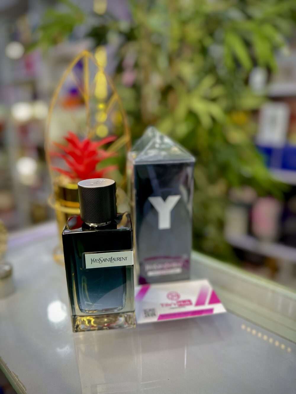 YSL Y