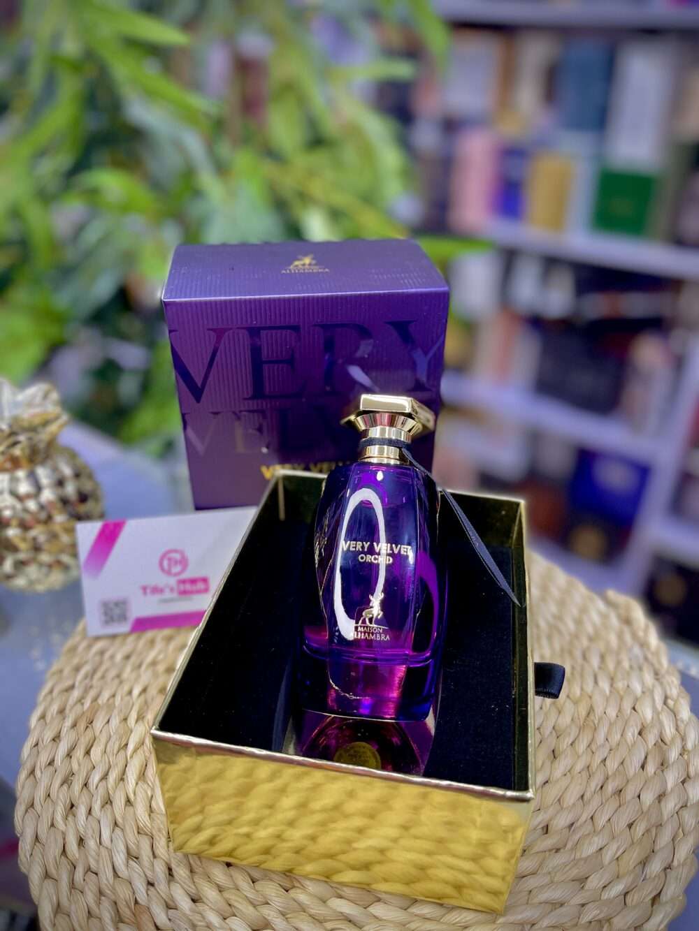 VERY VELVET ORCHID